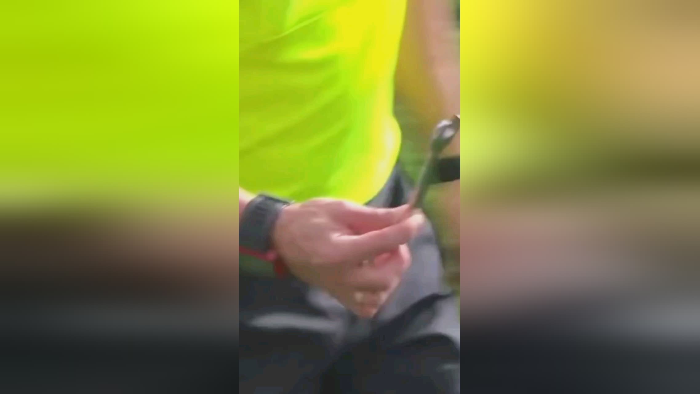 育界的力